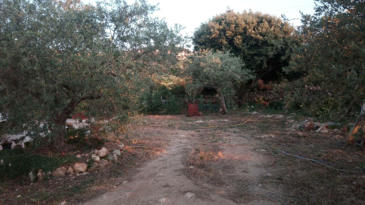Residence Degli Ulivi Ossi Dış mekan fotoğraf