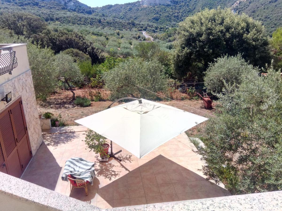 Residence Degli Ulivi Ossi Dış mekan fotoğraf